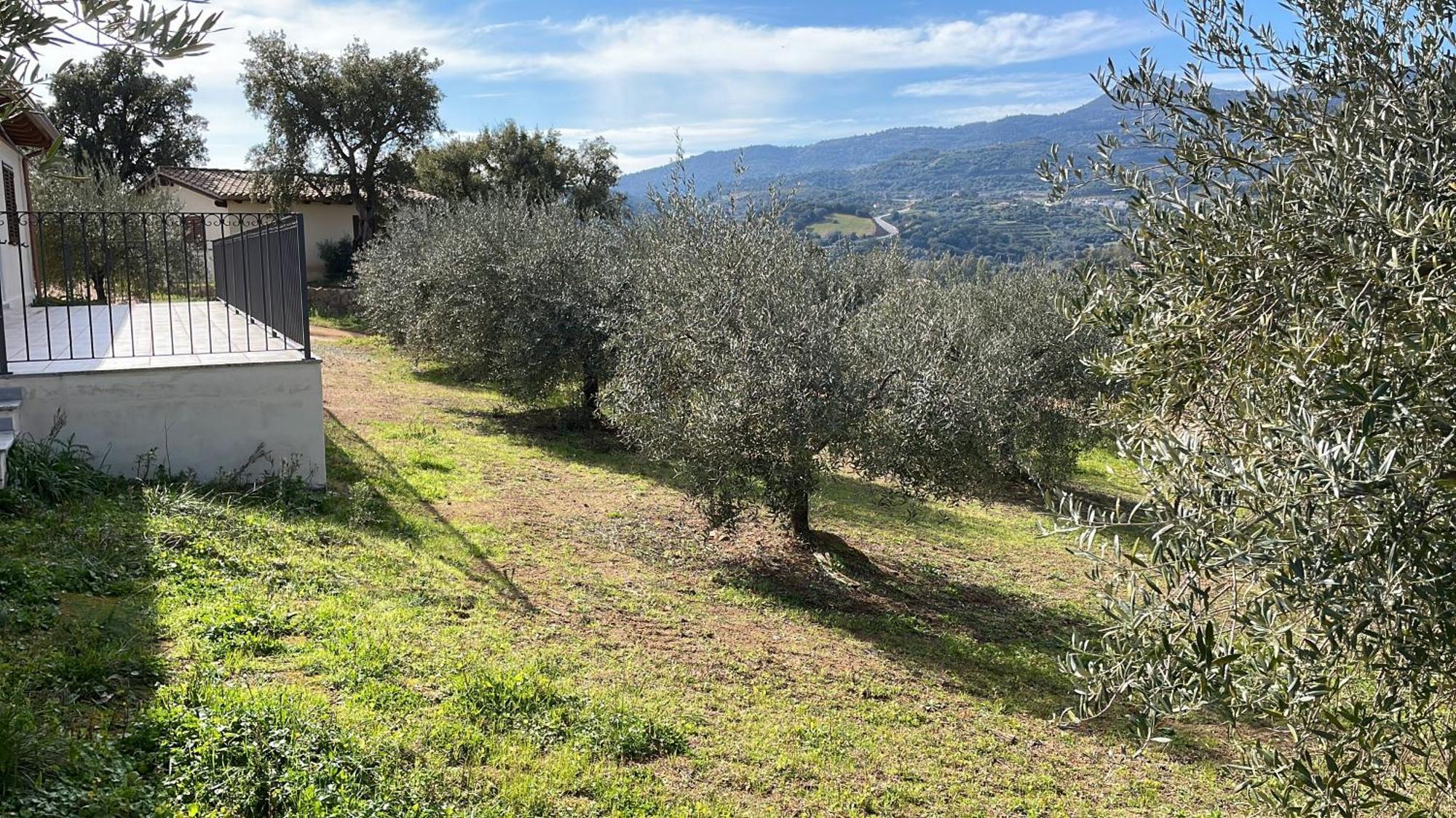 Vigna De' Luceri Appartamento *
